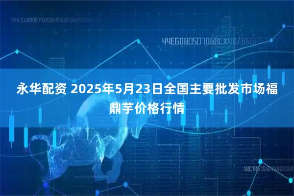 永华配资 2025年5月23日全国主要批发市场福鼎芋价格行情