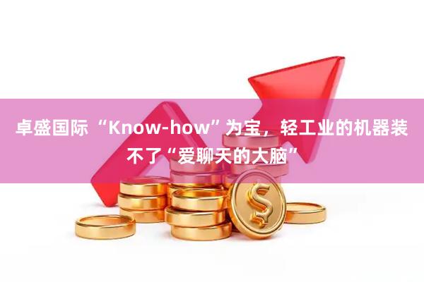 卓盛国际 “Know-how”为宝，轻工业的机器装不了“爱聊天的大脑”