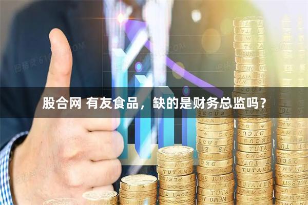 股合网 有友食品，缺的是财务总监吗？