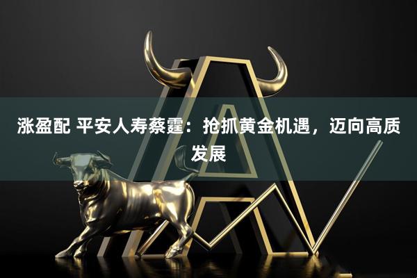 涨盈配 平安人寿蔡霆：抢抓黄金机遇，迈向高质发展