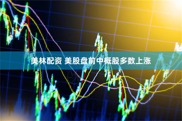 美林配资 美股盘前中概股多数上涨
