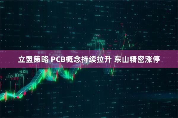 立盟策略 PCB概念持续拉升 东山精密涨停