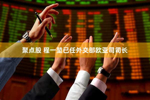 聚点股 程一堃已任外交部欧亚司司长