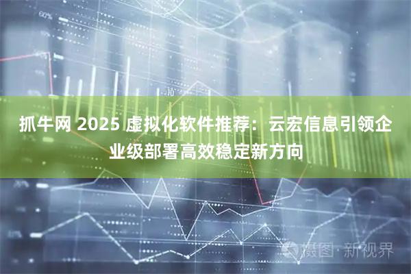 抓牛网 2025 虚拟化软件推荐：云宏信息引领企业级部署高效稳定新方向