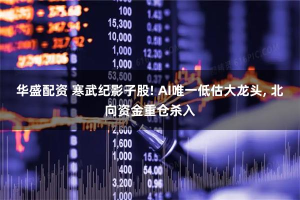 华盛配资 寒武纪影子股! AI唯一低估大龙头, 北向资金重仓杀入