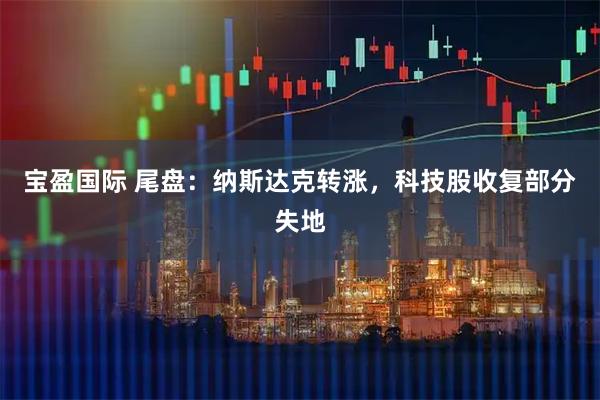 宝盈国际 尾盘：纳斯达克转涨，科技股收复部分失地