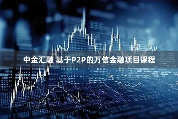 中金汇融 基于P2P的万信金融项目课程