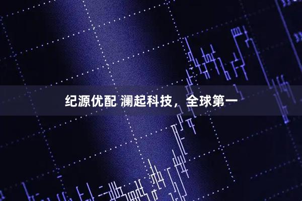 纪源优配 澜起科技，全球第一