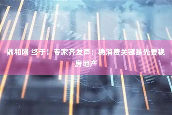 鼎和网 终于！专家齐发声：稳消费关键是先要稳房地产